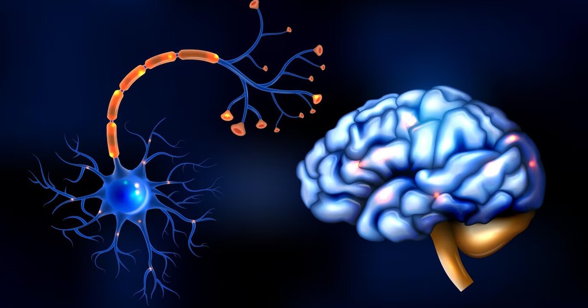 serotonine